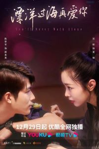 漂洋过海再爱你