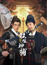 双生神捕之墙头马上