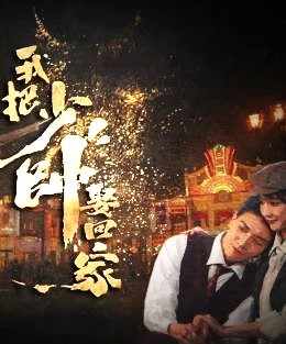 我把少帅娶回家